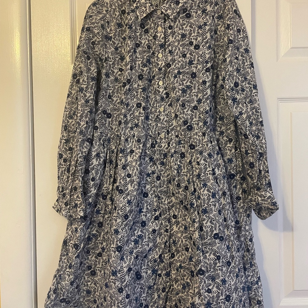 J. Crew Floral Dress in Blue and White